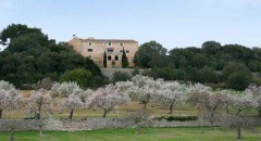 Finca-Ses-Cases-de-Sabor-1