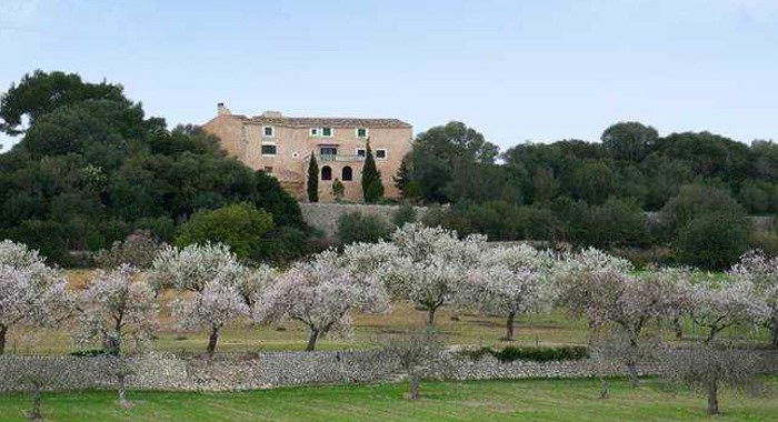 Finca-Ses-Cases-de-Sabor-1