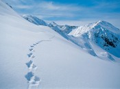Mit der "Walser AusZeit" im Kleinwalsertal heißt es für die Gäste: Aufsteigen zum Runterkommen. Mit der "Walser AusZeit" im Kleinwalsertal heißt es für die Gäste: Aufsteigen zum Runterkommen.