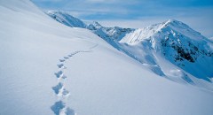 Mit der "Walser AusZeit" im Kleinwalsertal heißt es für die Gäste: Aufsteigen zum Runterkommen.