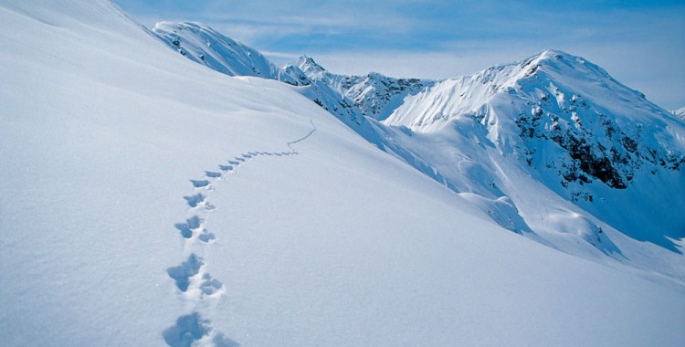 Mit der "Walser AusZeit" im Kleinwalsertal heißt es für die Gäste: Aufsteigen zum Runterkommen.