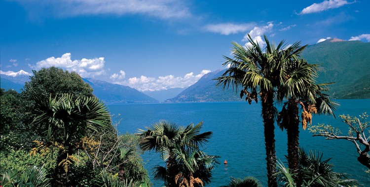 SWITZERLAND.GET NATURAL.