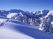 Abseits der Pisten finden Freerider das ideale Terrain. Abseits der Pisten finden Freerider das ideale Terrain.