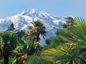 Frühling in Schenna, das bedeutet alpine mediterrane Kontraste Frühling in Schenna, das bedeutet alpine mediterrane Kontraste