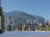 Wunderbar, ein Glas Wein in den ersten wärmenden Sonnenstrahlen im Frühling Wunderbar, ein Glas Wein in den ersten wärmenden Sonnenstrahlen im Frühling
