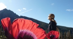 Schenna_Herbst_2010_07