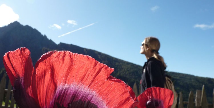 Schenna_Herbst_2010_07