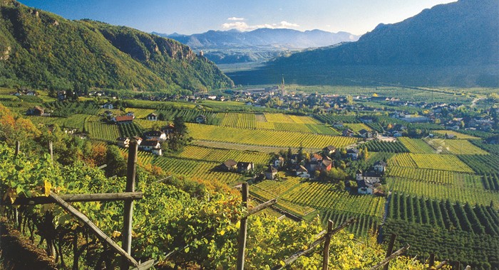 Suedtirol-slow-weine-2