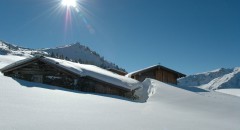 kitzbuehel-alpen-2011-05
