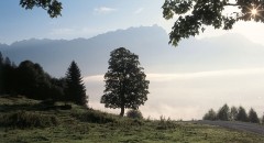 leogang-saalfelden-herbstimpression