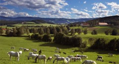 steiermark-1