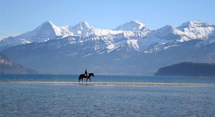 thunersee_1